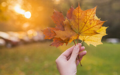 Autumn Song