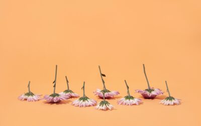 Ode til peri-menopausen (og mine medsøstre)